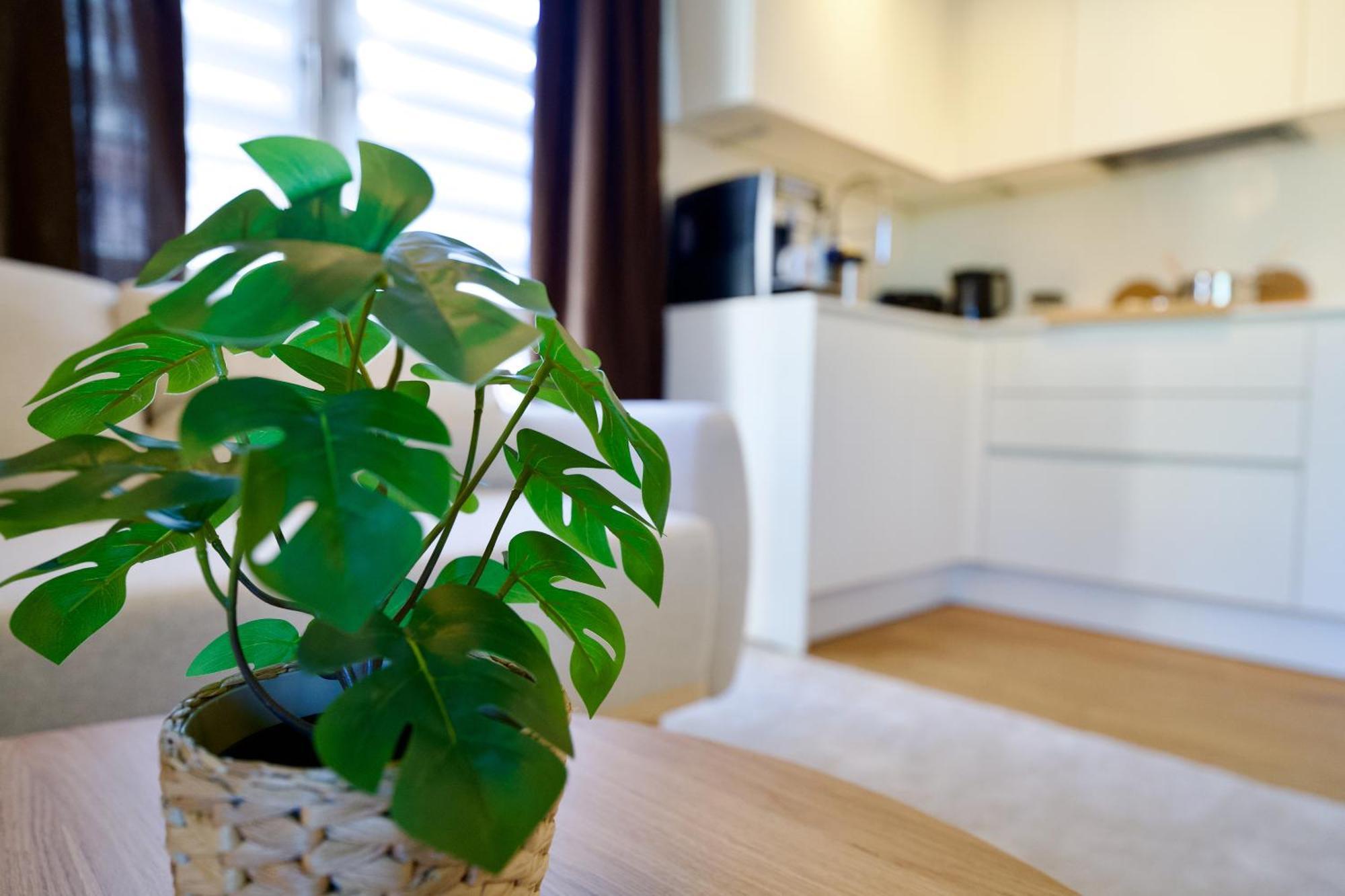 Edler Wohnraum Schwanenteich-Oase Mit Balkon, Kaffeevollautomat, Lift & Parkplatz Apartman Zwickau Kültér fotó